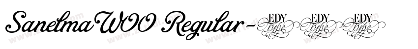 Sanelma W00 Regular字体转换